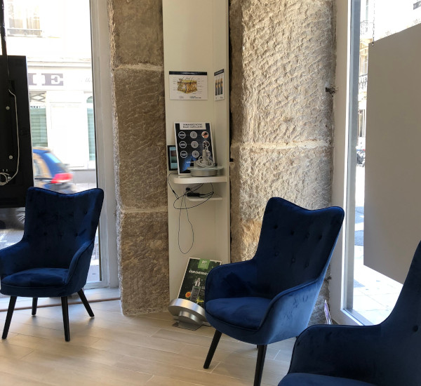 Institut Lyon 2
